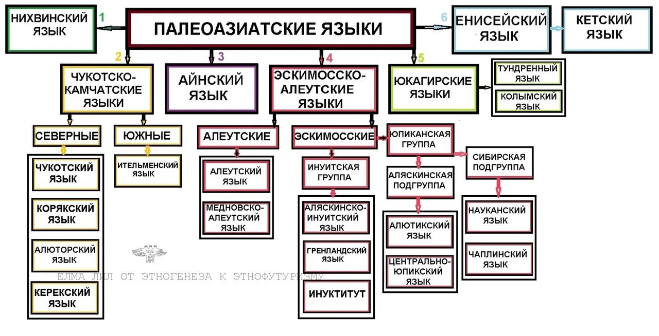 Какие группы алтайской семьи. Алтайская языковая семья. Палеоазиатская языковая семья народы. Языковые семьи Алтайская семья. Алтайская семья языков схема.