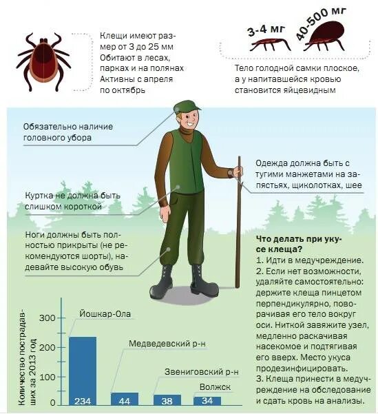 Защита от укусов клещей. Меры предосторожности от клещей. Опасные клещи в лесу. Клещи клещевой энцефалит. Как защититься от клещей в лесу.