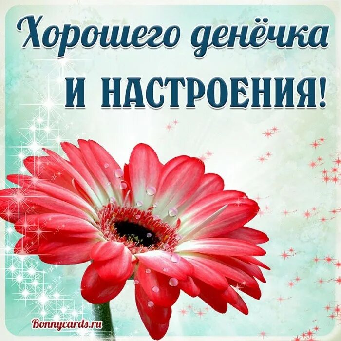 Спасибо удачи хорошего дня - 12 фото из 48