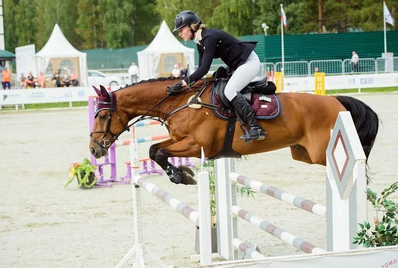 евразия соревнования конкур ташкент. кск соревнования. кск фаворит подольск лошади. кск соревнования. кск дивный соревнования.
