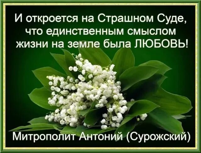 И откроется что единственным смыслом. И откроется на страшном суде что единственным смыслом жизни на земле. единственным смыслом жизни была любовь. антоний сурожский о прощении. единственным смыслом жизни будет любовь.