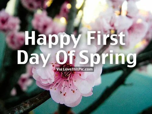 The first of march. First Day of Spring. Happy Spring Day. First Day of Spring картинки. Happy 1 Day Spring.