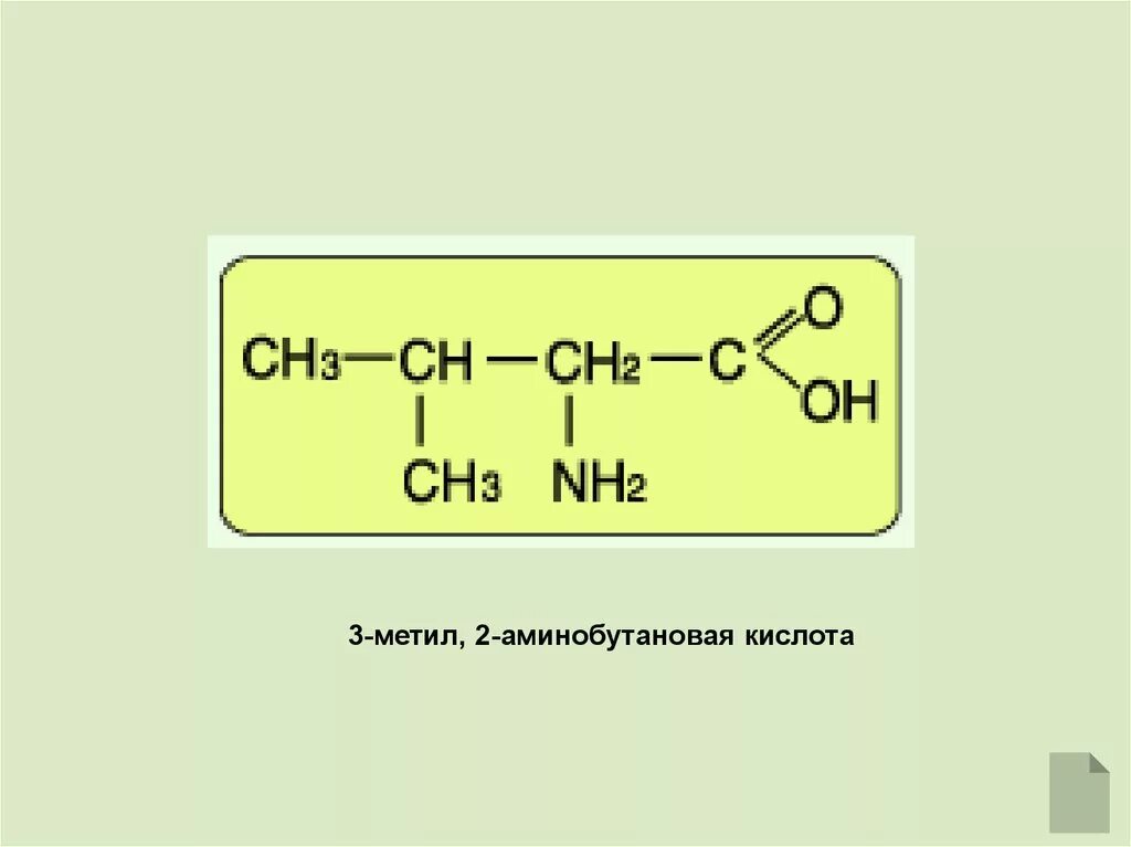 3 Метил 2 аминобутановая кислота. 3 Метил 2 аминобутановая кислота структурная формула. 2 3 Диметил 4 аминобутановая кислота. Структурная формула 2 метил 4 аминобутановая кислота. 1 3 аминобутановая кислота