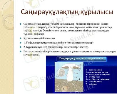 Макеевкадағы жалаңаш қыздардың суреттері