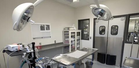 veterinary equipment suppliers