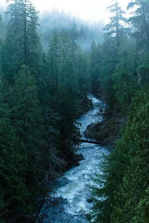 Вертикальная река фото nature full hd wallpaper (1920x1200) River, Mountain landscape, Mountain river