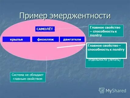 Приведи примеры проявления связи
