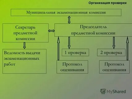 Образуют комитеты и комиссии