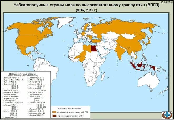 Распространение птичьего гриппа. Птичий грипп распространение. Распространенность гриппа в мире. Грипп распространение в мире. Карта распространения гриппа.