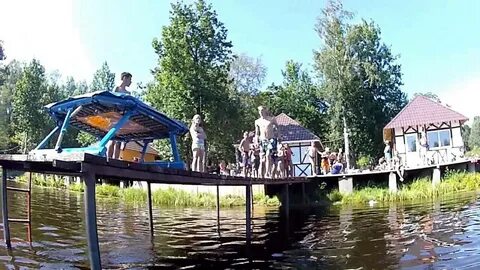 Подслушано колтуши