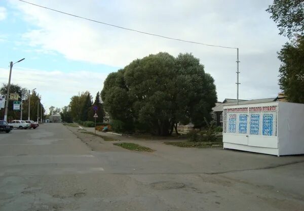 Гисметео поспелиха. Село поспелиха алтайский край. поспелиха алтайский край ул.гончарова 59. старая поспелиха алтайский край. кафе поспелиха алтайский край.