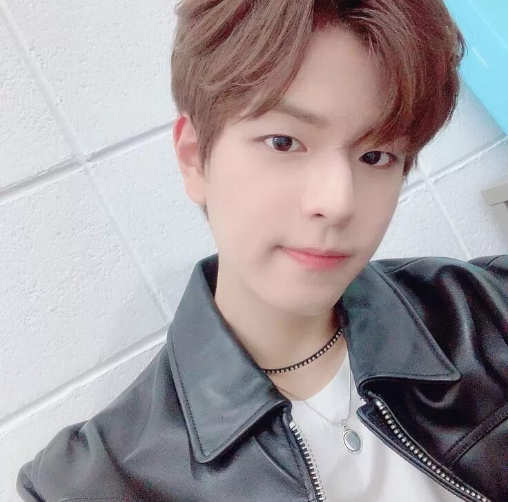 Сынмин из stray. Stray kids сынмин. сынмин айдол.