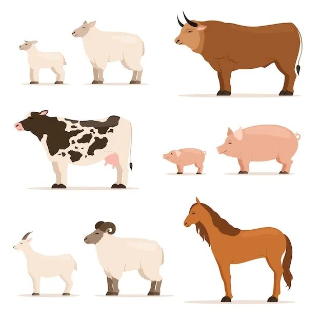 Корова и свинья. Козы, свиньи и коровы на ферме. Сельскохозяйственных животных векторное. Корова лошадь свинья. Корова свинья собака кошка