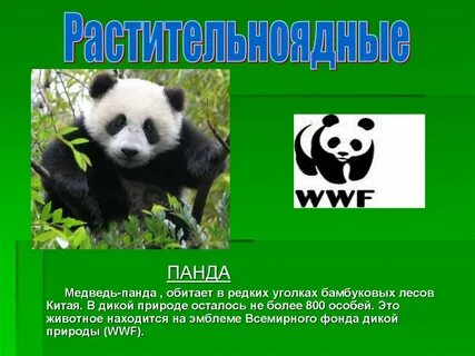 Всемирный фонд дикой природы животные