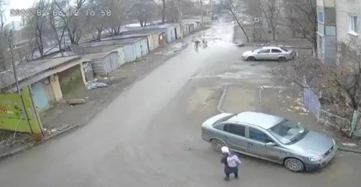 Видео нападения на губернатора. В Астрахани девочку стая собак. Нападение собак в Астрахани. В Астрахани стаи собак атакуют. Бездомные собаки в Астрахани.