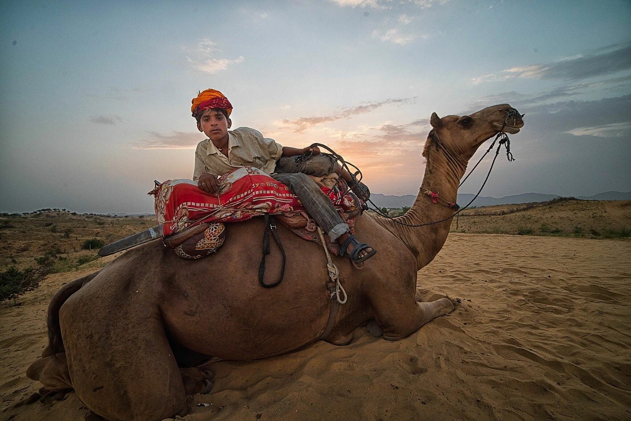 Тунис бедуины. Бедуины в Египте. Бедуин на верблюде. Верблюд в пустыне.