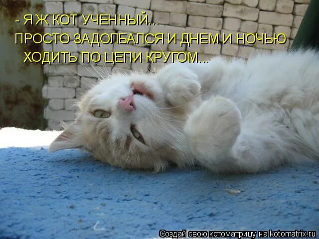 я смущаюсь. ах останься. я ржу картинки. поручик барабанщик. ах оставьте ах оставьте все слова слова слова.