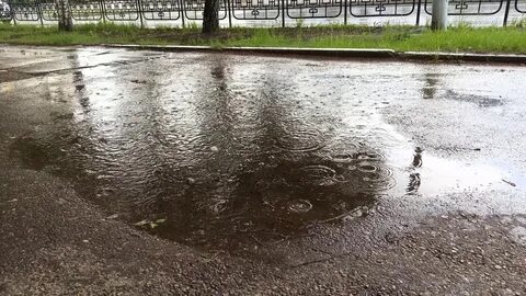 Почему на лужах пузыри во время дождя