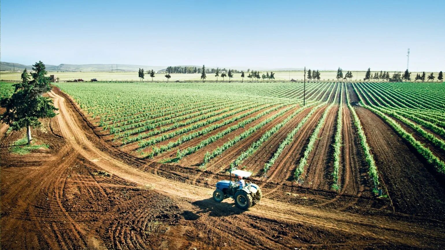 Агро. BASF для сельского хозяйства. BASF Agricultural solutions. Сфера сельскохозяйства в Италии. Сельское хозяйство земледелие.