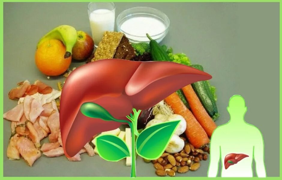Печень после еды. Продукты полезные для печени. Здоровье печени. Здоровая еда для печени. Здоровая печень питание.