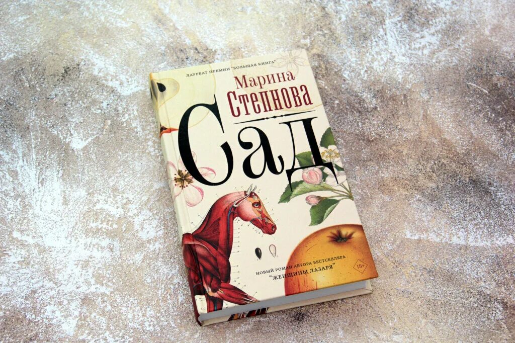 Степнова сад читать. «сад» марины степновой.. степнова сад книга.