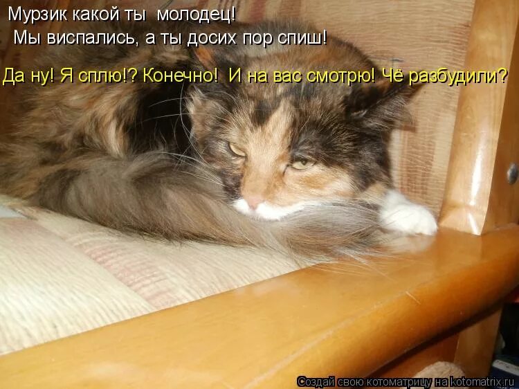 предложение со словом не. писить и спать фото. как правильно написать сэкономить. а помните как это было в детстве. правописание до сих пор.