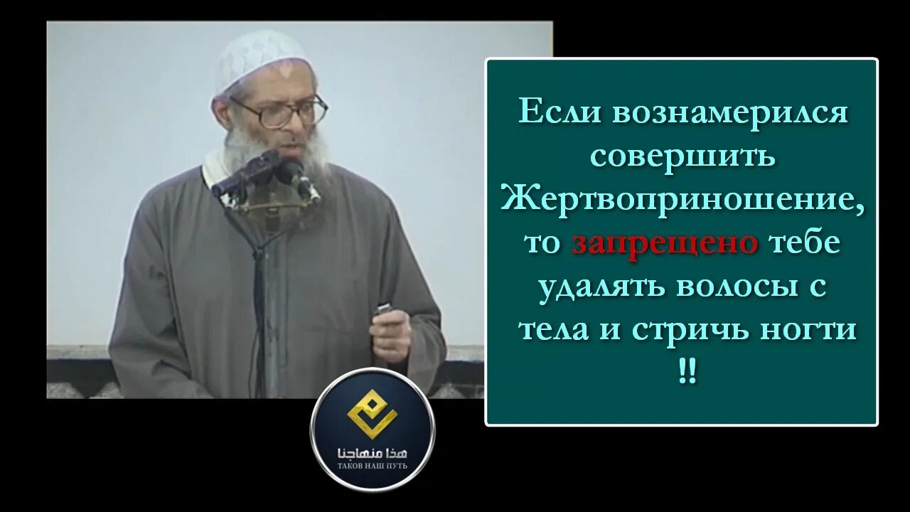 Во время уразы можно ли стричь ногти. Можно ли стричь ногти в Курбан байрам. Почему нельзя себя стричь. Воздержание подстригания ногтей и волос перед Курбан байрамом. Цитаты о жертвовании Курбан.