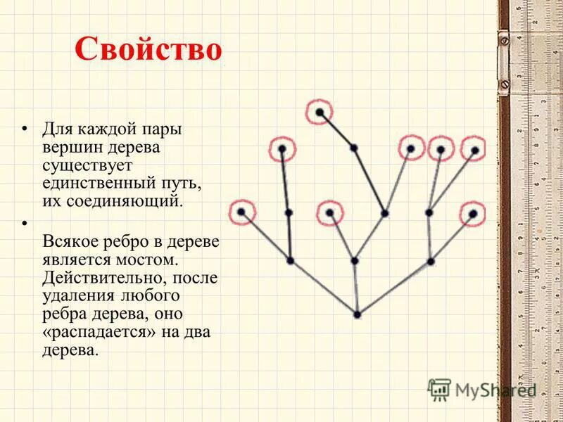 Найдите цикл не простой графа выполните задания