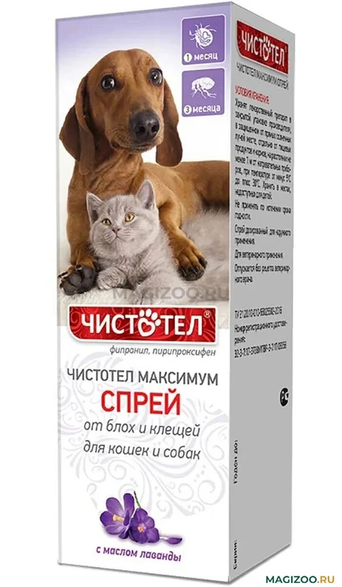 И котят 100мл. Чистотел - шампунь для собак от блох и клещей. Чистотел максимум спрей от блох для кошек, собак 100 мл с617. Спрей для собак от блох чистотел. Спрей чистотел от блох и клещей.
