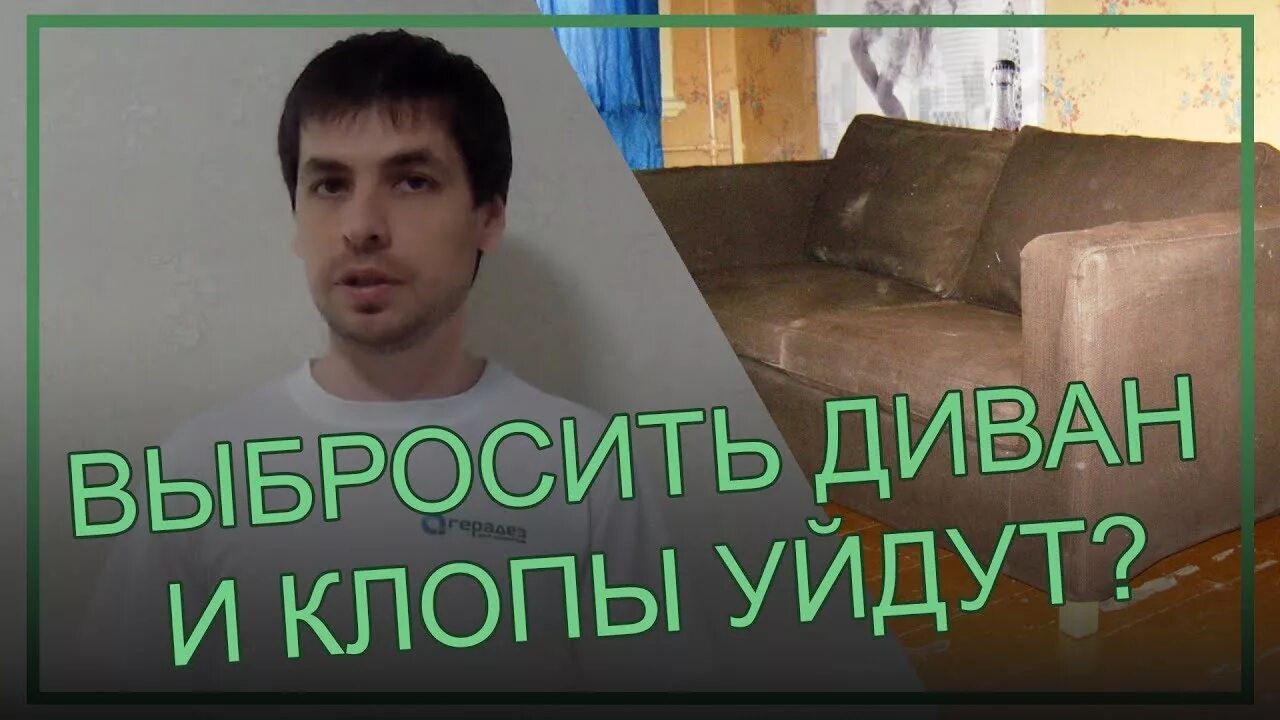 Как быстро избавиться от клопов в диване. Если выкинуть диван клопы исчезнут или нет. обязательно ли выкидывать диван после клопов.