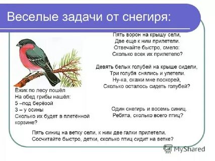 Основная мысль текста про птиц