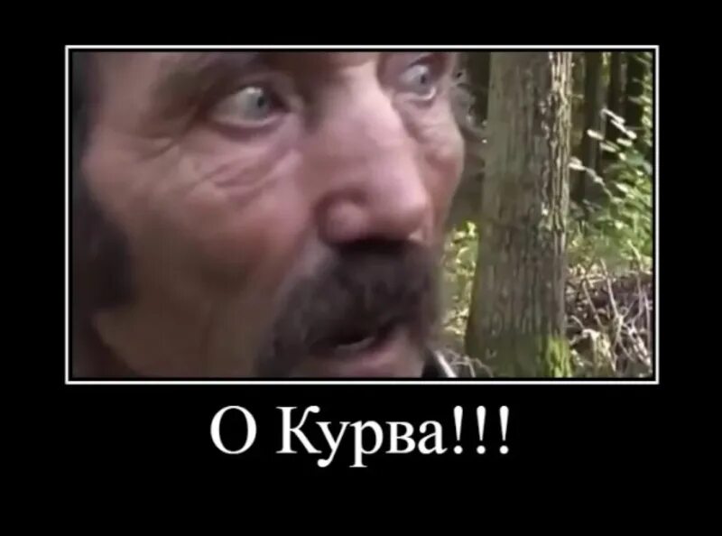 Как переводится я пердолю с польского