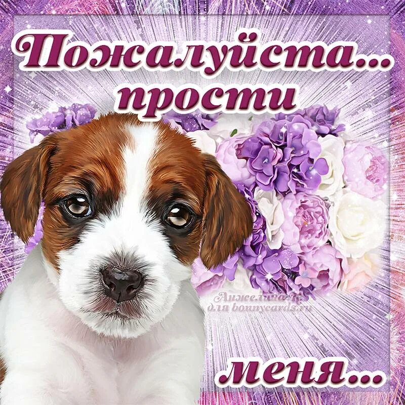 Извини что нибудь