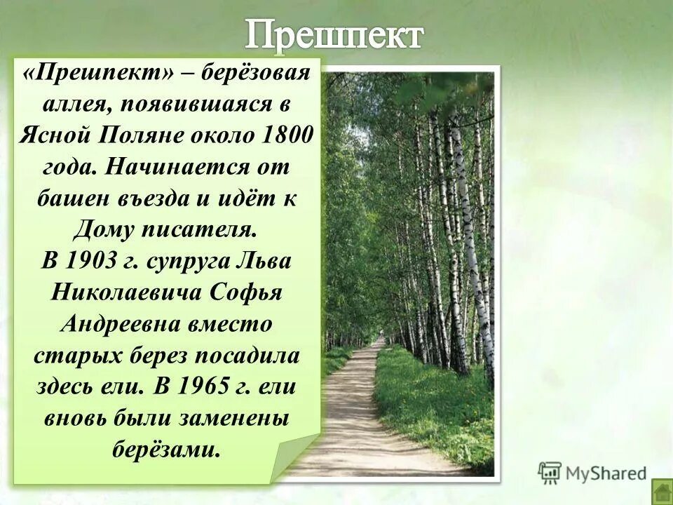 характеристика аллеи. стихи про липовые аллеи. аллея. липовые аллеи формы. темный.