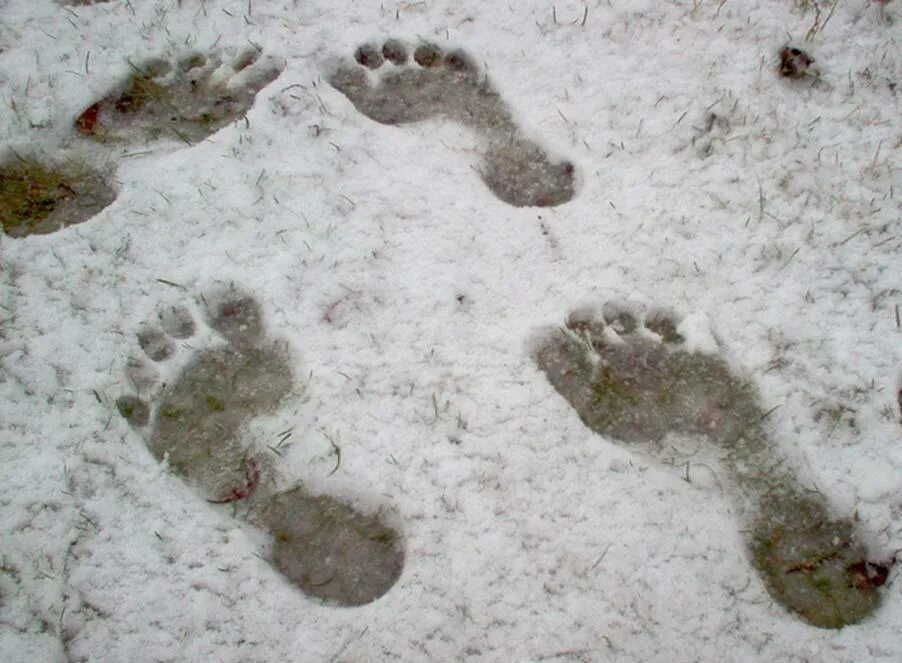 Следы уходящих людей. Следы человека на снегу. Отпечаток человека на снегу. След ноги человека на снегу. Отпечаток ноги человека и снежного человека.