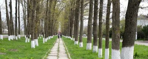 Погода октябрьский ленинградского краснодарского