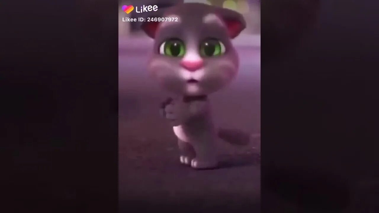 Том танцует. Том танцует. Anchors aweigh 1945. Том и джерри джерри танцует. Том и джерри танцующий медведь.