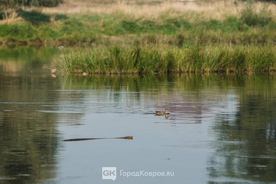 Подъем воды в клязьме на сегодня. Уровень воды в Клязьме в Коврове сегодня. Подъём уровня Клязьмы в Коврове в23году. Подьнятие вода в Клязьме в Коврове по годам.