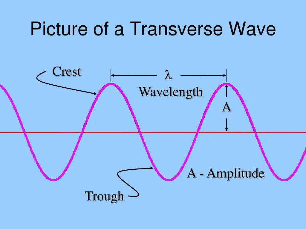 Жанры wave. Transverse wave. wave amplitude. what is a wave. амплитуда can.