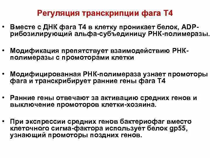 Регуляция транскрипции. Регуляция транскрипции