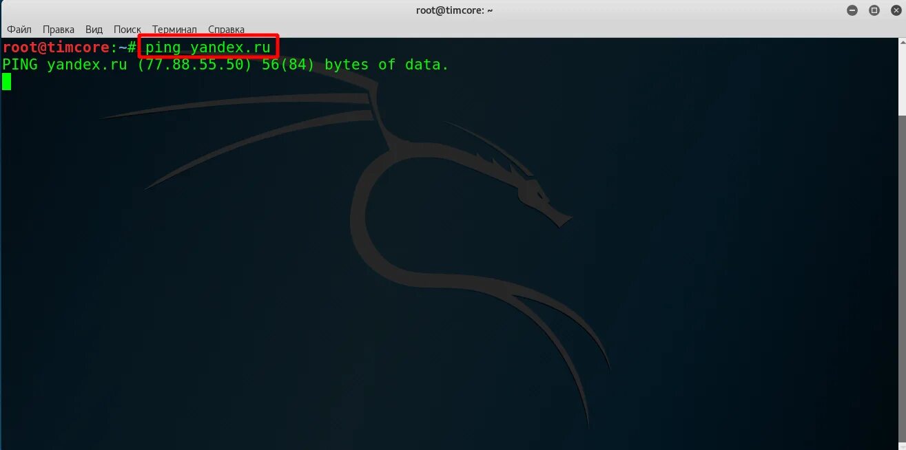 Kali linux пароль. Kali linux для новичка. root kali linux. kali linux какой графический интерфейс. пуск kali linux.