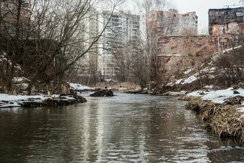 Кучино покров