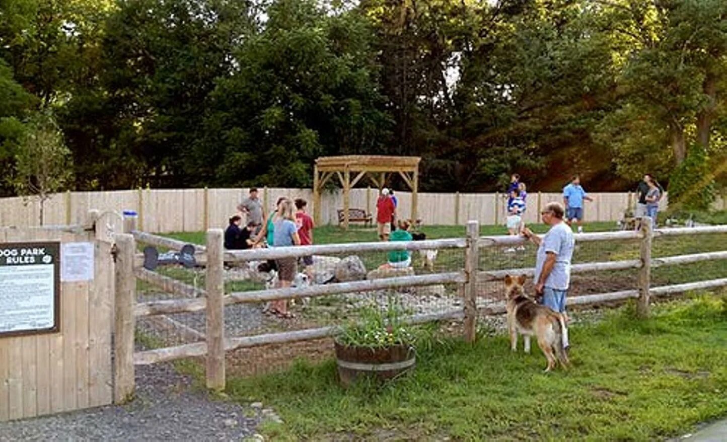 Pet park. Дог парк в Хельсинки. ПЭТ парк. Собачий парк. Собачий парк в Хельсинки.