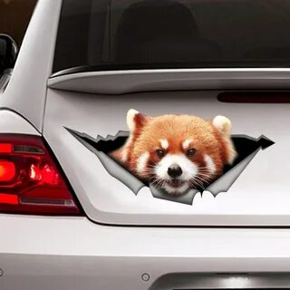 Panda cars