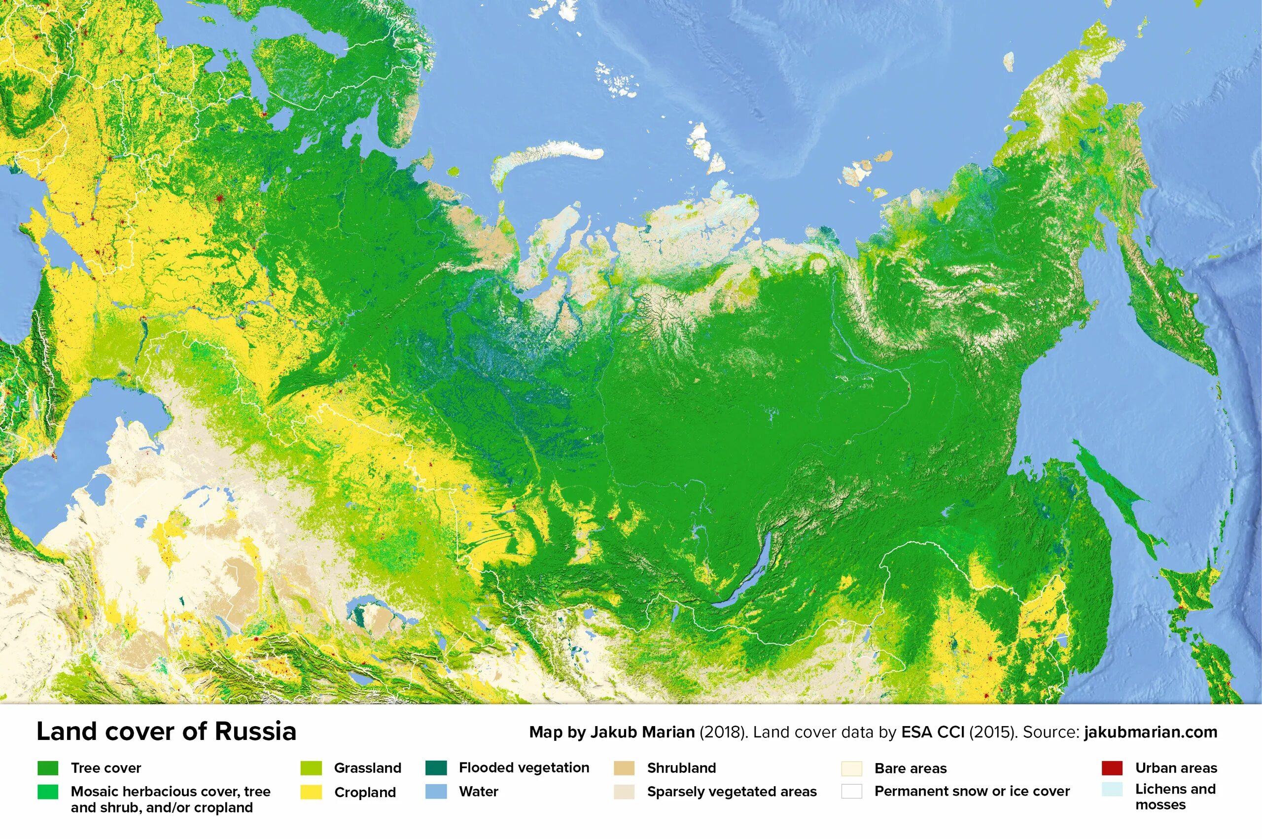 Самая большая земля в россии. Расположение лесов на карте России. Леса на территории России. Территория лесов России на карте. Растительный Покров России карта.