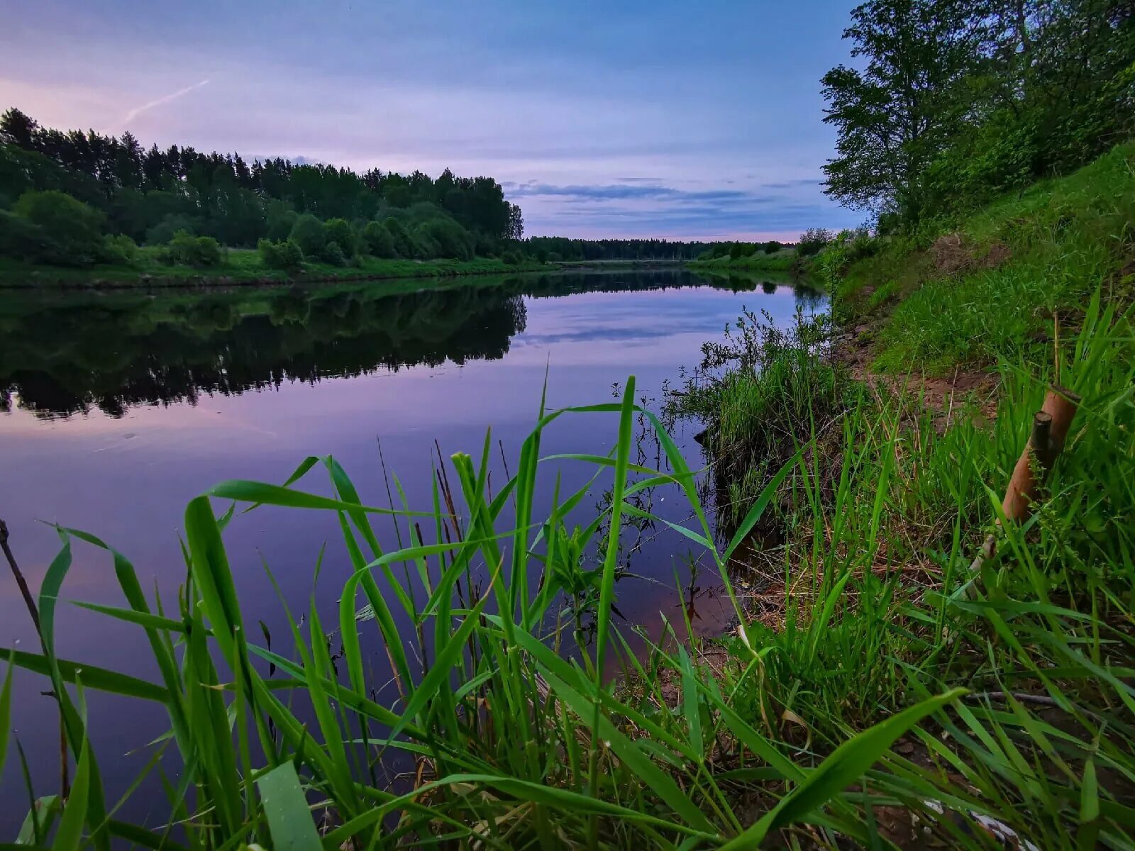 Горячего новгородская область. Река Мста Боровичи. Река Мста Великий Новгород. Мста река белая гора. Мста деревня Городище.