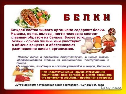 Какие белки содержатся в рыбе