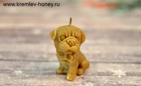 Свечка собака