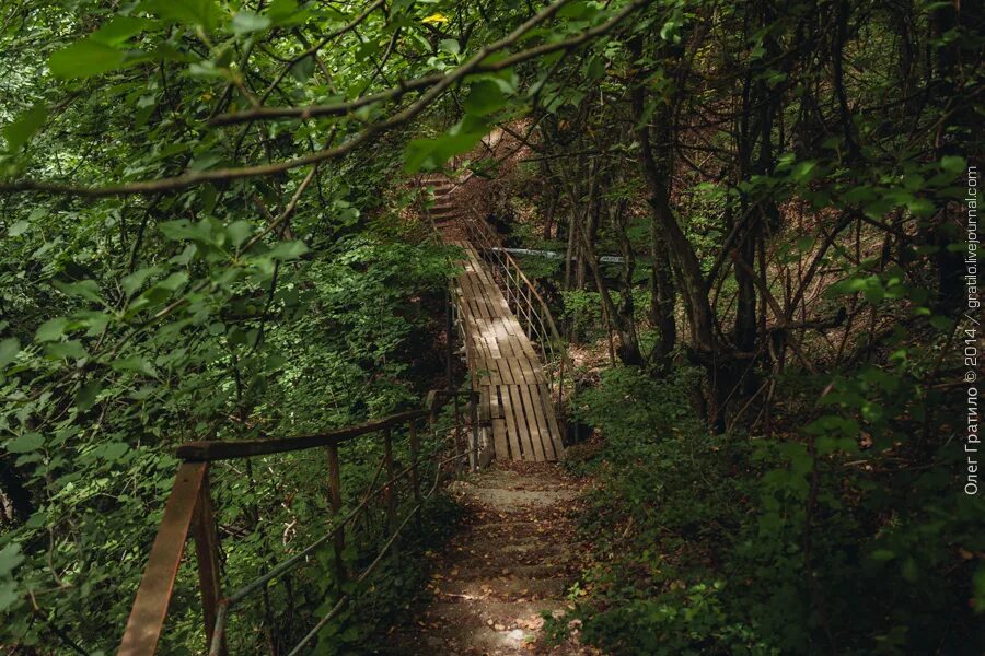 боткинская тропа ялта маршрут. боткинская тропа ялта. боткинская тропа ялта. боткинская тропа в крыму. боткинская тропа в крыму.