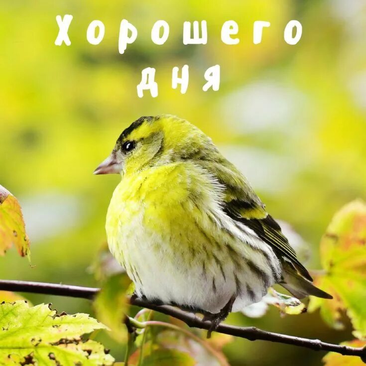 Весна... природа просыпается. Просыпайтесь и вы! Не бойтесь перемен и будьте уве